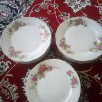 ظروف گل سرخ