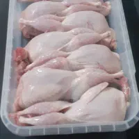 فروش بلدرچین