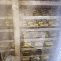 فر ۱۲ دیس گردان شیرینی پزی و کلوچه پزی|فروشگاه و مغازه|کومله, |دیوار