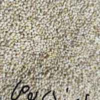 ارزن درشت بوجاری|لوازم جانبی حیوانات|اصفهان, ارداجی|دیوار