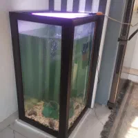 آکواریوم ۵۰در۷۰