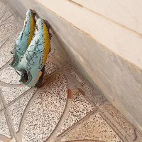 کفش فوتبال|کیف، کفش، کمربند|کوهدشت, |دیوار