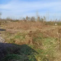 ۳۱۱ متر زمین در گیلان|فروش زمین و ملک کلنگی|سنگر, |دیوار