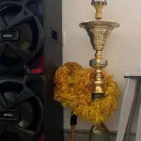 قلیون عربی سالم