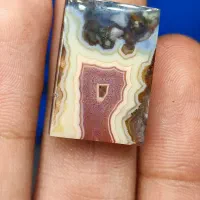 نگین شجر و سلیمانی