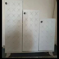 جاکفشی سالم
