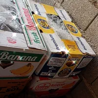 خرما پیارم|حراج|بندرعباس, |دیوار