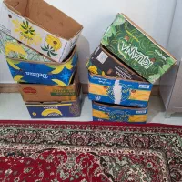 کارتن موز سالم دونه ای ۴۰