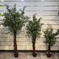 درختچه مصنوعی خاص بونسای،بنجامین،بامبو،زیتون