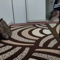 گلیم فرش