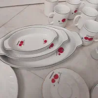 تعداد زیادی ظروف گوجه ای|ظروف سرو و پذیرایی|قلعه شاهین, |دیوار