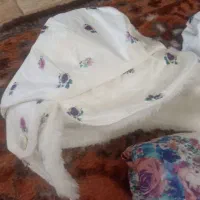 کاپشن بچگانه دخترانه|کفش و لباس بچه|ارومیه, |دیوار