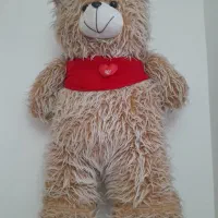 خرس سالم و تمیز|اسباب‌بازی بچه|سهند, |دیوار