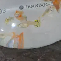 ماهی گوپی|ماهی|مرودشت, ژیان|دیوار