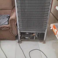 فریزر / تک در /|فروشگاه و مغازه|کردکوی, |دیوار