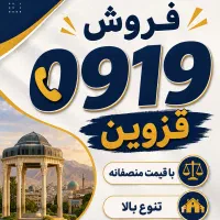 ۰۹۱۹۴۸۱۶۰۶۶