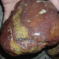 راف کامل سالم ومعدنی وزن یه کیلو