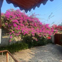 ۲ واحد ویلا باغ مبله حیاط دار  با ورودی مجزا|فروش خانه و ویلا|کتالم و سادات شهر, |دیوار