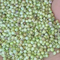 خریدار گشنیز کمباینی۸۵ و خرمن کوب۹۵