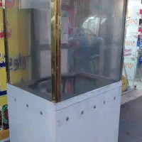 فر گازی واویشکا