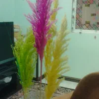 گلدان کنار سالنی