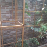 قفسه مغازه چهارعدد قوطی۲/۵*۲/۵تخفیف دارد|فروشگاه و مغازه|مینودشت, |دیوار