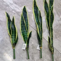 دیزاین  گرین وال و بوته به قیمت عمده