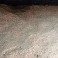 سلام فروش کاه درجه یک|خدمات باغبانی و درختکاری|سیلاخور, |دیوار