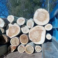 درخت و چوب شما را به روز|خدمات باغبانی و درختکاری|اردبیل, |دیوار