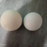 گوی اعصاب