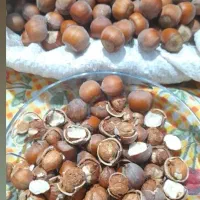 محصولات خانگی و غذایی ارگانیک