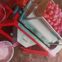 آبگیری گوجه ، خردکردن سبزی ، فروش رب خانگی