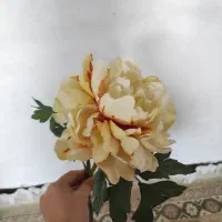 ۸عدد گل|گل مصنوعی|خرم‌آباد, |دیوار