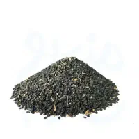 بذر پیاز محلی