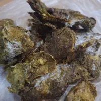 غذا ماهی کف خوار آکواریم