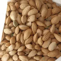 بادام