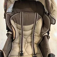 کالسکه دلیجان