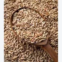 فروش جو بوجاری شده