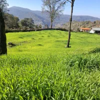 فروش-زمین-196متری-ویو-دار-در-روستای-لفور