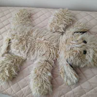 عروسک سگ|اسباب‌‌بازی|میانه, |دیوار