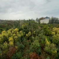 ویلا۲۲۰متری اجاره سالانه جنگلی سمت طالش محله