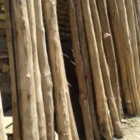 چوب درختی و تیر سقفی شما رو خریداریم