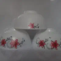 فقط این دوازده تا