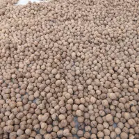 پوست گردو|عمده‌فروشی|مشهد, موسوی قوچانی|دیوار