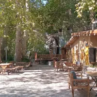 اجاره شبانه روزی اتاق،هتل، ویلایی،ایونت،دورهمی|اجارهٔ کوتاه‌مدت ویلا و باغ|تهران, جماران (نیاوران)|دیوار