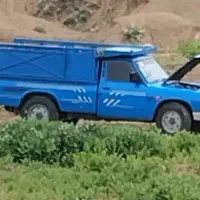 فروش کو حیوانی برای باخبانی