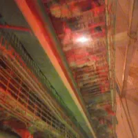 قفس مرغ تخم گذار|لوازم جانبی حیوانات|ابریشم, |دیوار