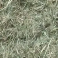 علوفه