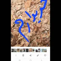 نان خشک حیوانی