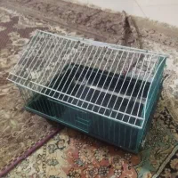 قفس